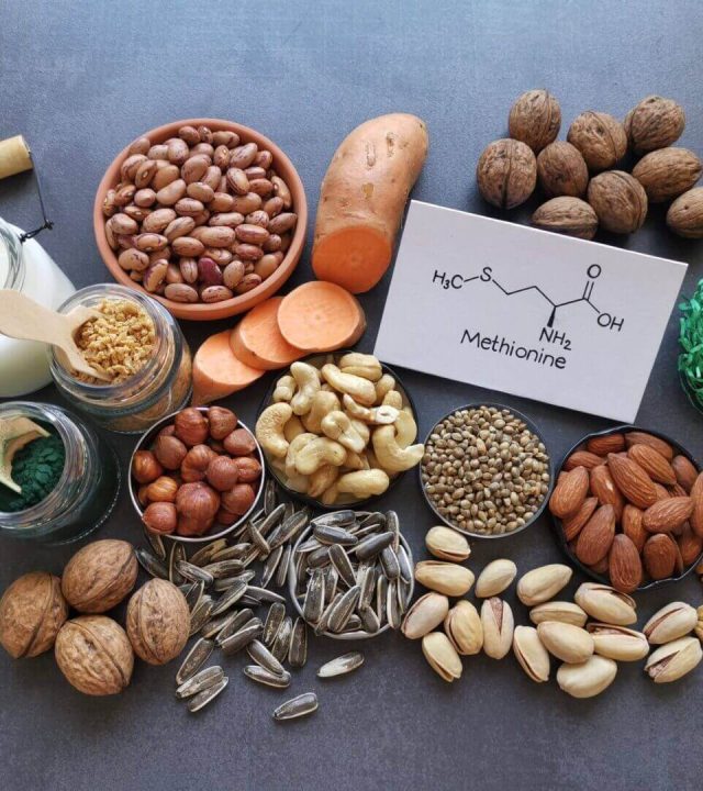 Lipotropic nutrients help break down